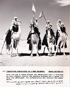 Algerie propagande 045